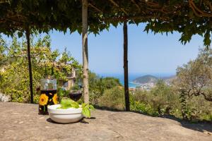 Tiny-House im Olivenhain - 1km zum Strand- Cilentissimo