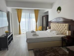 Cozy Deluxe Apartments in Centre of Historical Iasi