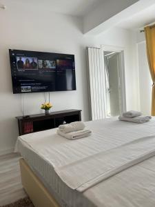 Cozy Deluxe Apartments in Centre of Historical Iasi