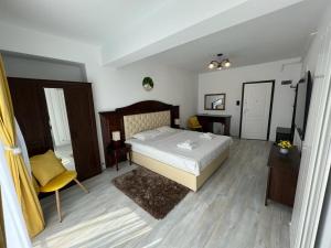 Cozy Deluxe Apartments in Centre of Historical Iasi