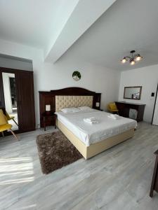 Cozy Deluxe Apartments in Centre of Historical Iasi