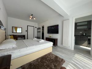 Deluxe Apartments in Centre of Historical Iasi