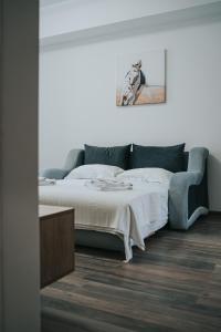 Cozy Deluxe Apartments in Centre of Historical Iasi