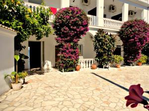 Galini Beach Studios and Penthouse