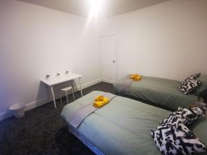 Twin Room - Sutherland Place