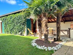 Charmant Studio 25 m² avec mezzanine et piscine