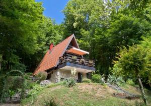 Mrežnički doživljaj