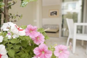 Domu Noa Hotel img40