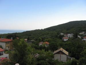 Vila Tsonevi