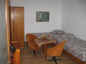 Vila Tsonevi