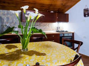 Live Buenavista El Palmar