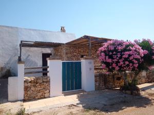 Liama Macchia degli Specolizzi