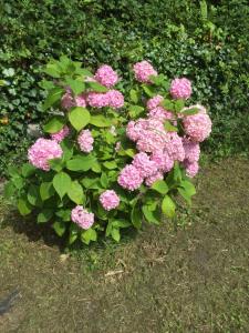 Le Monrepos avec bain nordique