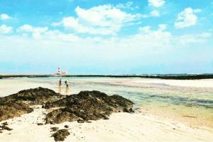 Lajares Villa y estudios Art Lab Fuerteventura