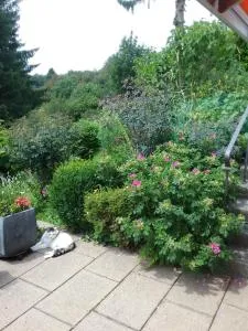 Perlenbachtal - Alzen