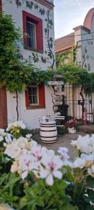 Vinný Tunel -Koňský pokoj