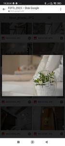 Vinný Tunel - Květinový pokoj se soukromou terasou