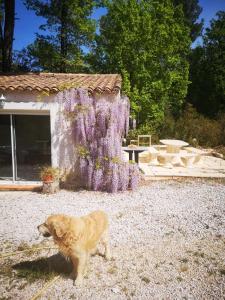 Maisons de vacances Studio en campagne : photos des chambres