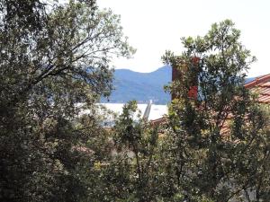 Private apartments, parking, beach distance 350 meters