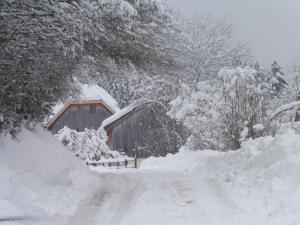 Chalets AMALTHEE : photos des chambres