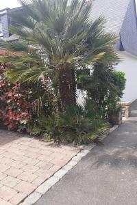 Villas Carnac - Maison - Environnement nature et spacieux - 4-5 km des plages : photos des chambres