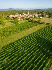 B&B / Chambres d'hotes Les p'tits velos : photos des chambres