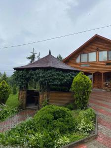 Карпатська Модрина