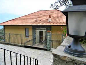 Vista mare tra gli ulivi