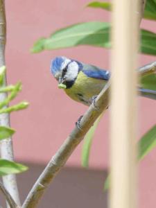 Appartements Le NID… ecrin entre mer et foret : photos des chambres