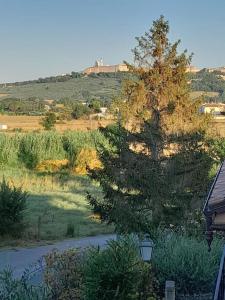 2 La fisarmonica del Conero