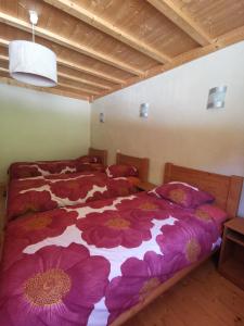 Chalets AMALTHEE : photos des chambres