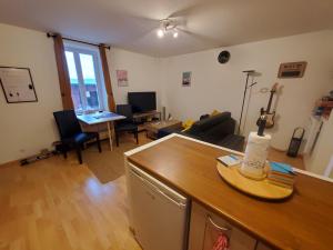 Appartements Le Pied-a-Terre de Fenieres - T2 a 10mins de Geneve et du CERN ! : photos des chambres