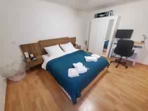 Appartements Le Pied-a-Terre de Fenieres - T2 a 10mins de Geneve et du CERN ! : photos des chambres