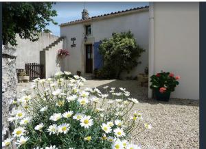 Maisons de vacances Well equipped, peaceful cottage : photos des chambres