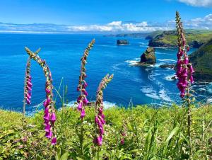 Karrek View - Trebarwith Strand (Sleeps 8-10)