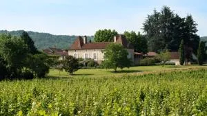 Château Gautoul - 普赖萨克