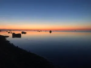 Metsatoa - Vihterpalu