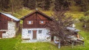 Baita Vioz - 佩伊奥