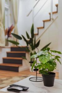 Greenlight Gallery by NeWave Apartments