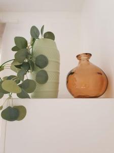Appartements Studio 