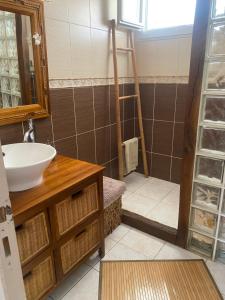 Villa Zen avec 2 chats