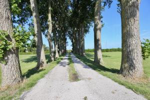 Sejours a la campagne La Grange du Veld : photos des chambres