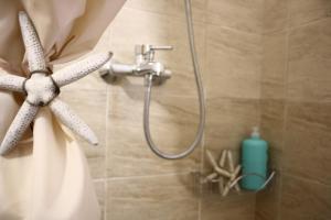 Alba Family Club Hotel