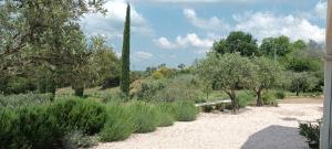 Bastide au milieu des vignes et des oliviers Aups
