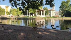 Luxury Apartment Solinka With Private Parking 