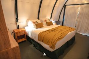 GLAMPING SELVA IGUAZU