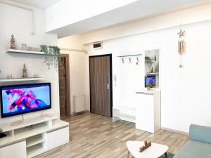 Summerland Vibe Mamaia