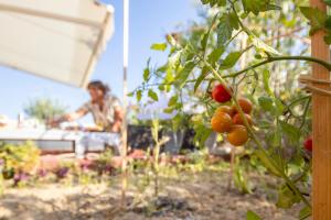 Appartements Le NID… ecrin entre mer et foret : photos des chambres