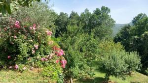 Appartements La Libellule, piscine, climatisation, wifi, vue ,jardin ,parking : photos des chambres