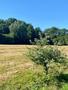 Maisons de vacances Home in Champagnac La Riviere with shared pool : photos des chambres